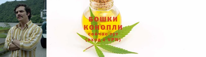 крисы Кинешма