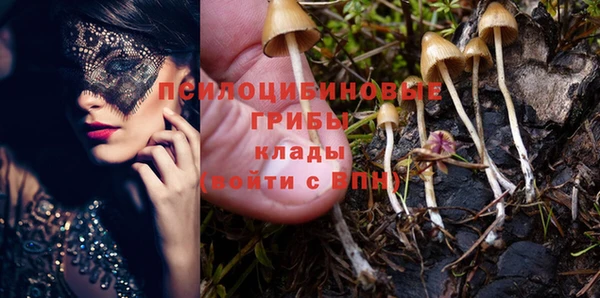 прущая мука Киренск