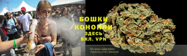 крисы Кинешма
